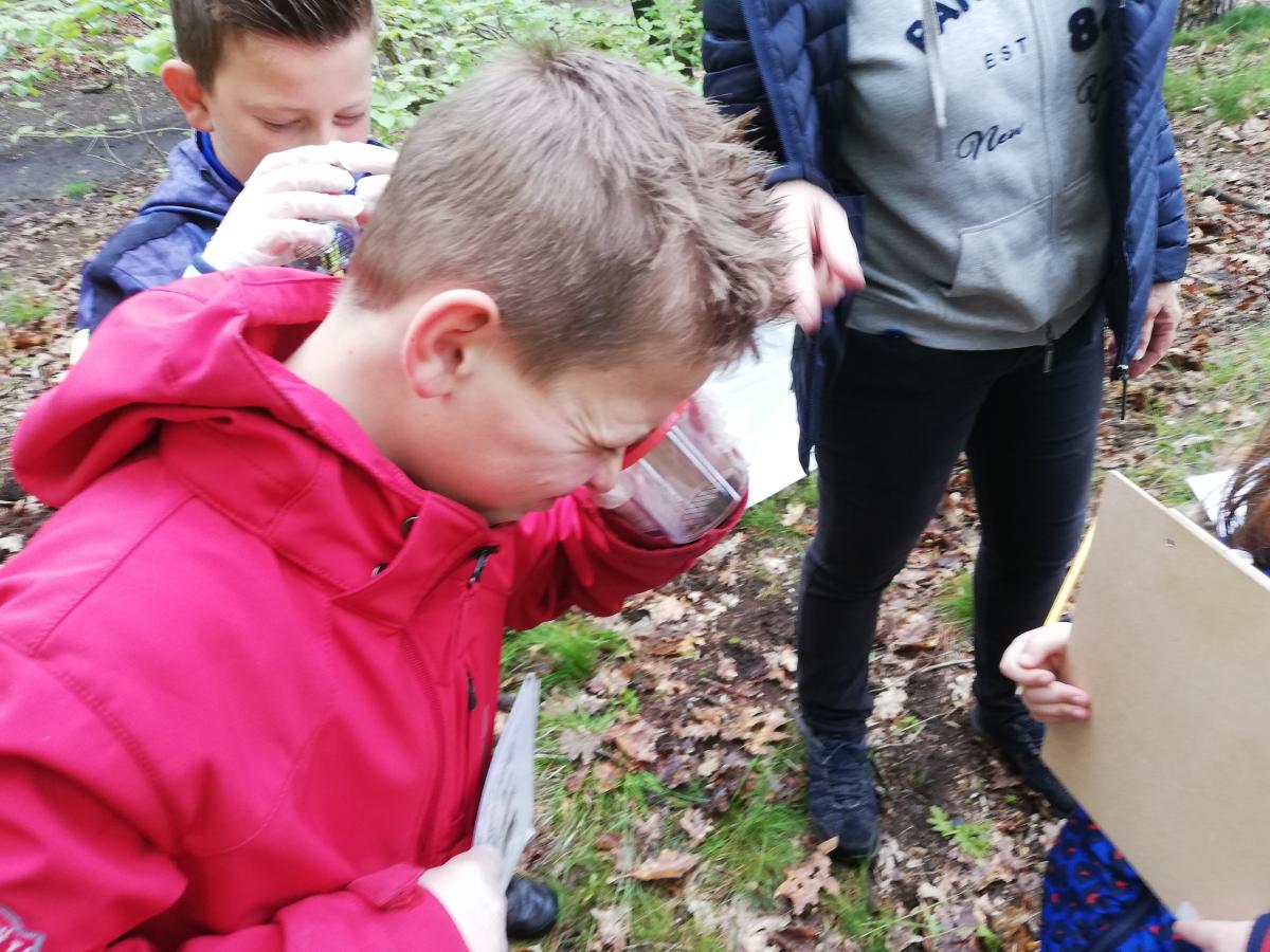 IMG-20210525-WA0003b